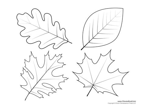 Leaves printable templates for education