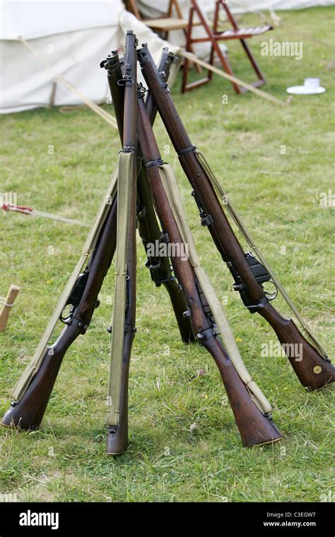 Lee-Enfield Rifle Collection in Ukraine