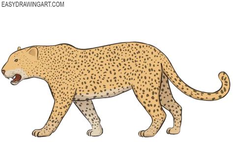 A drawing of a leopard in mid-run