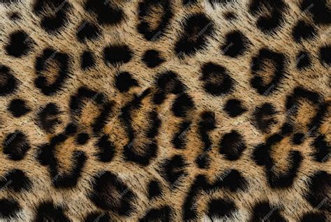 A close-up of a leopard's fur