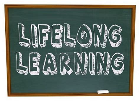 Lifelong Learning Strategies