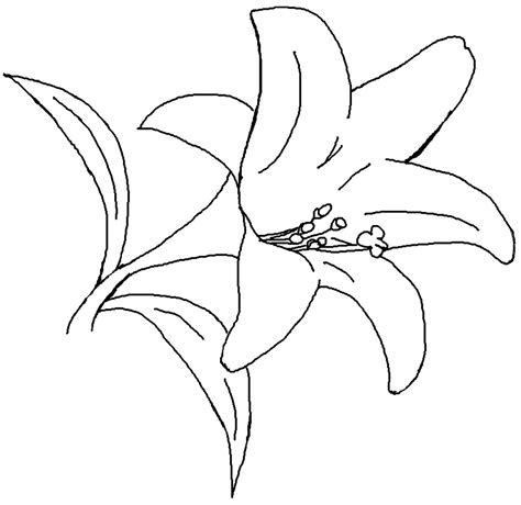 Lily Colouring Page