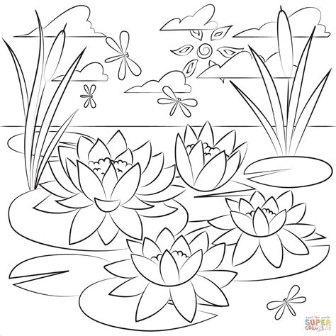 Lily Pad Coloring Pages