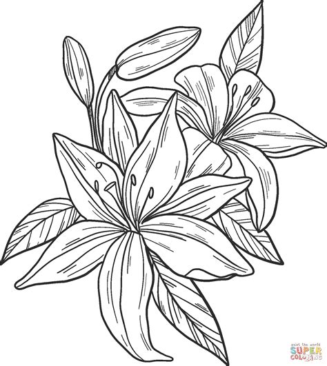 Lily Printable Flower