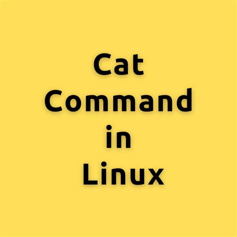 Linux cat Command