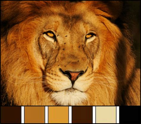 Lion Color Palette