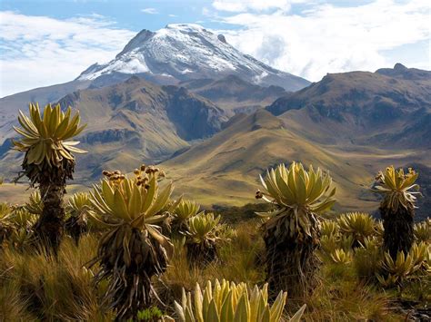 Los Nevados National Park Trek