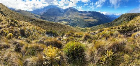 Los Nevados National Park Trek