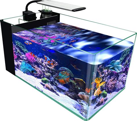 Low iron glass aquarium 10