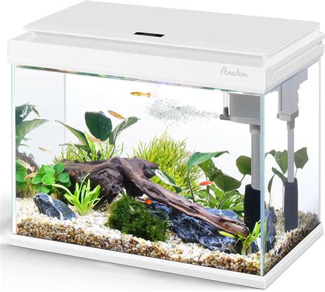 Low iron glass aquarium 5