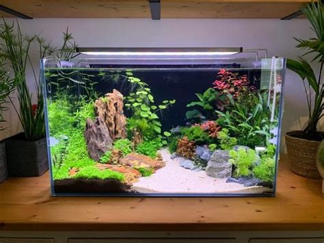 Low iron glass aquarium 6