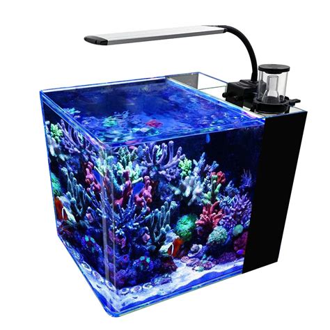 Low iron glass aquarium 8