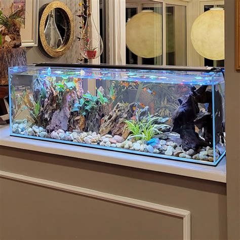 Low iron glass aquarium 9