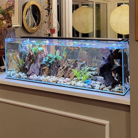 Low iron glass aquarium design