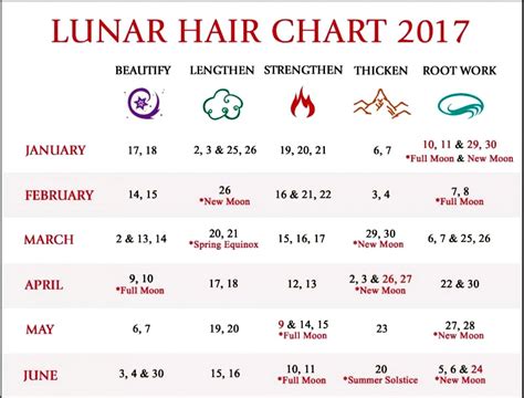 Lunar Calendar Hair