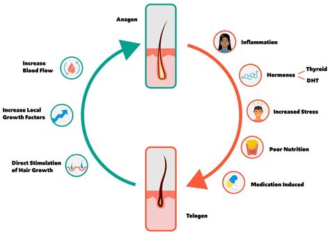 Lunar Cycle Effects on Hair