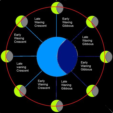 Lunar Cycle Explanation