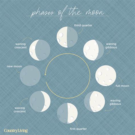 Description of Lunar Cycle Phases