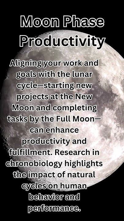 Lunar Productivity