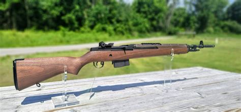 M1a Scout Squad Rifle