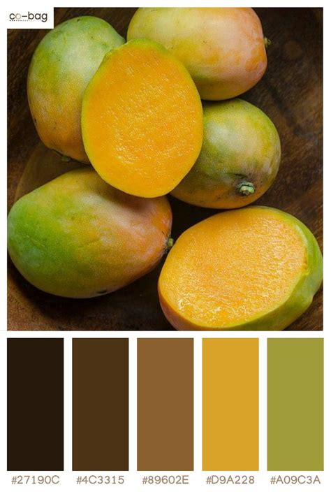 Mango color palette inspiration