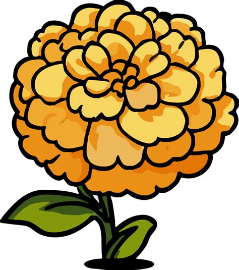 Marigold Graphic Design