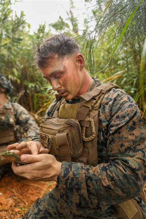 US Marine Combat Engineers in action