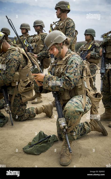 Marines in combat training