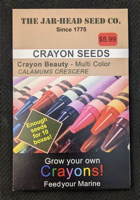 Marine crayon laughter