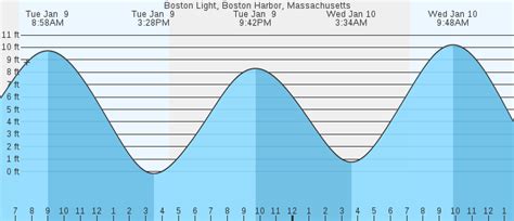 Marine Life Affected by Boston Tides