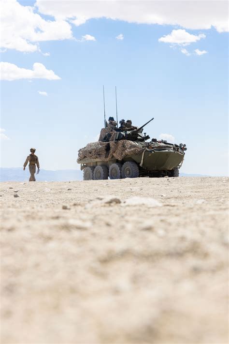 Marine Light Armored Reconnaissance Unit