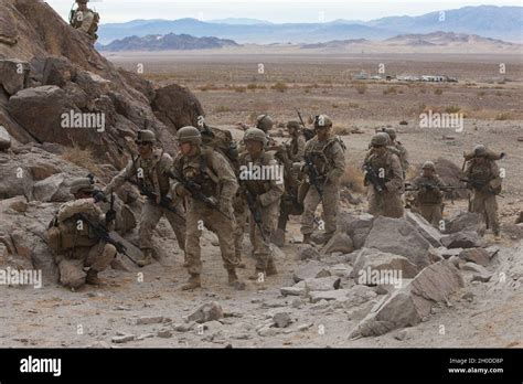 Marine recruits participating in adaptability training