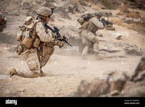 Marine recruits participating in adaptability training