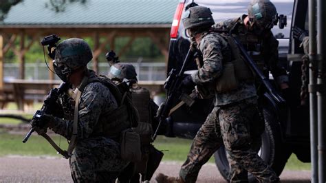 Marsoc Fox Company Training Exercises