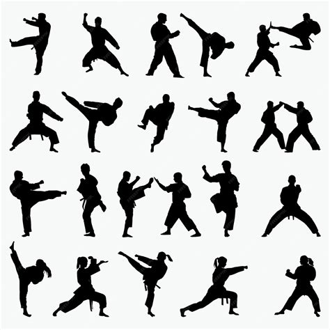 Martial arts silhouette