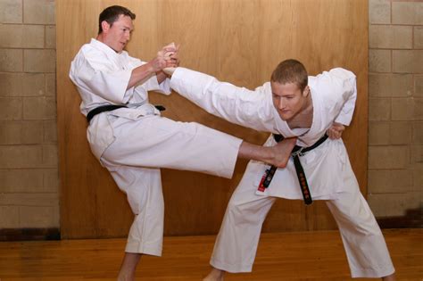 Martial Arts Techniques