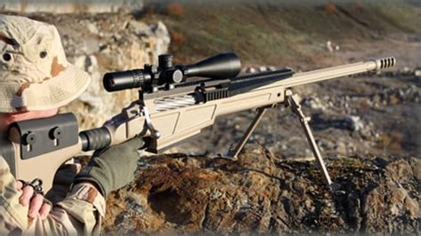 McMillan TAC-50 Stock