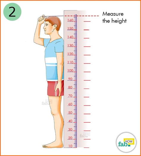 Measuring height in feet