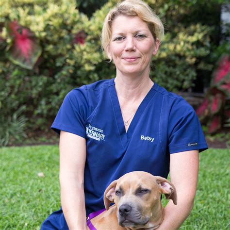 Meeting the vet and staff