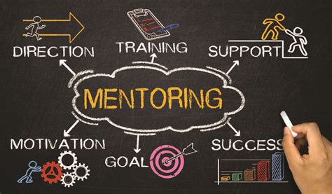 Description of Mentorship Opportunities