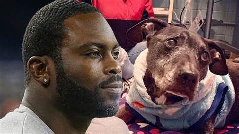 Michael Vick Dog Fighting Case