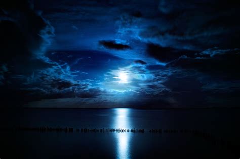 Midnight Blue Photography