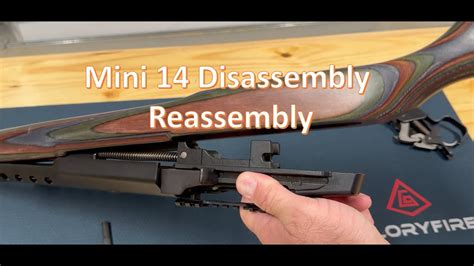 Step 1: Remove the magazine and clear the chamber