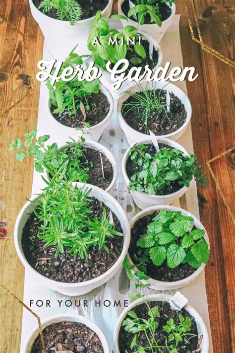 Image of a magnetic palette used as a mini herb garden