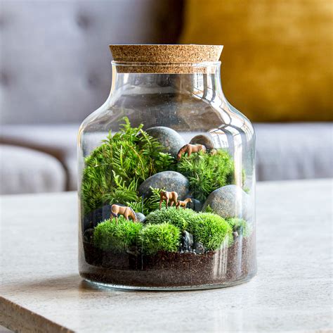 Mini Terrarium