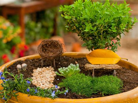 Miniature Garden Ideas