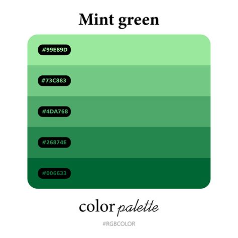 Mint Color Palette Branding