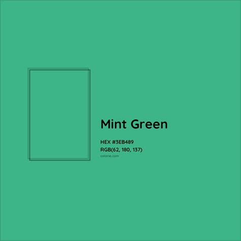 Mint Green Color Swatch