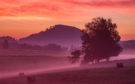 Misty Morning