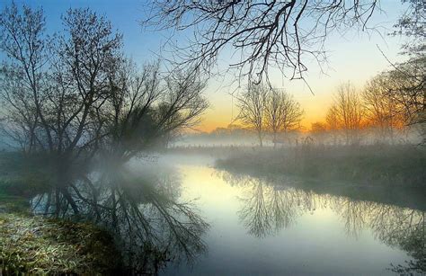 Misty Mornings Autumn Color Palette